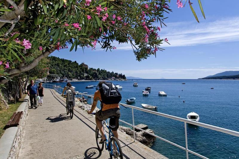 Sea And Wind Villa Labin Labin  Dış mekan fotoğraf