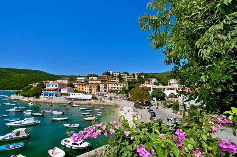 Sea And Wind Villa Labin Labin  Dış mekan fotoğraf